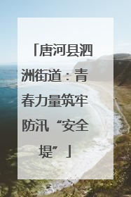 唐河县泗洲街道：青春力量筑牢防汛“安全堤”